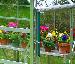 GREENHOUSES - Downpipes