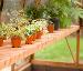 GREENHOUSES - Staging