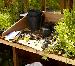GREENHOUSES - Potting trays