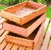 GREENHOUSES - Seed trays