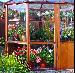 GREENHOUSES: ALUMINIUM GREENHOUSES and WOODEN GREENHOUSES - Fully glazed option
