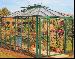 Robinsons Riviera Greenhouse 64