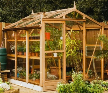 Alton Traditional Greenhouse 80